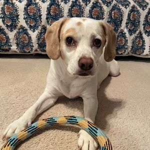 Meet your Posher, Tracey